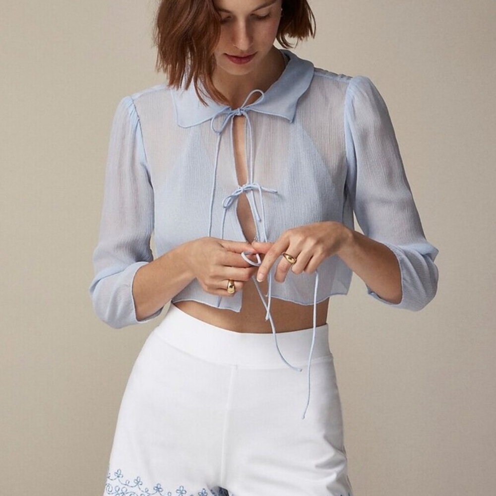 J. Crew Light Blue Sheer Blouse